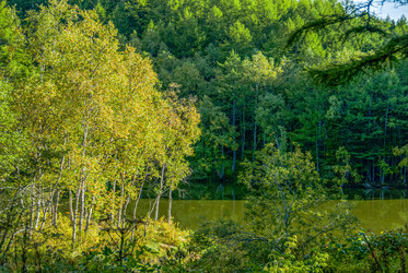 Similar image 22120246