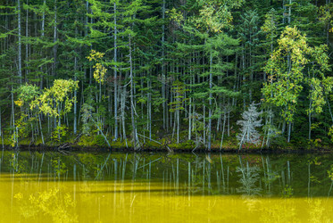 Similar image 22120247