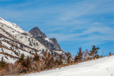 Similar image 22119927