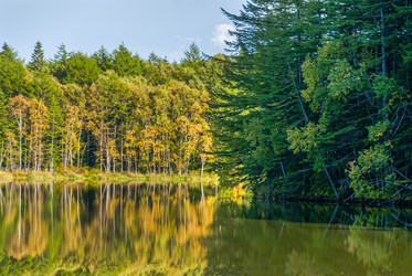 Similar image 22119930