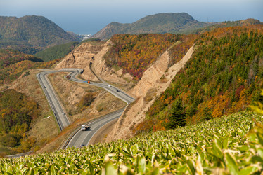 Similar image 22119933