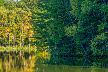 Similar image 22119938