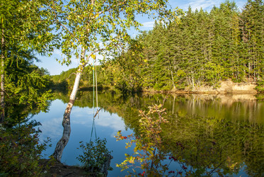 Similar image 22119949