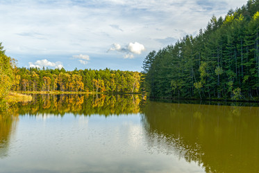 Similar image 22119953