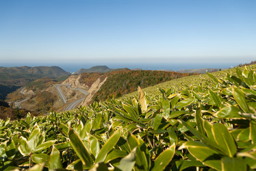 Similar image 22119957