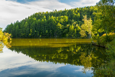 Similar image 22119962