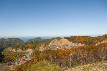 Similar image 22119965