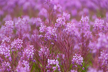 Similar image 22119966