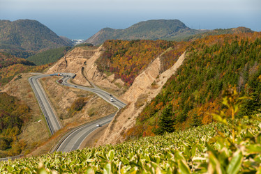 Similar image 22119969