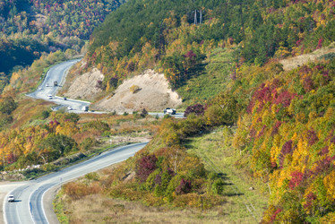 Similar image 22119975