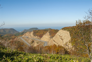 Similar image 22119978