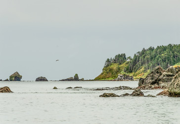 Similar image 22127004