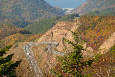 Similar image 22119981