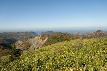 Similar image 22119982