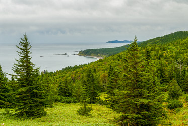 Similar image 22127006