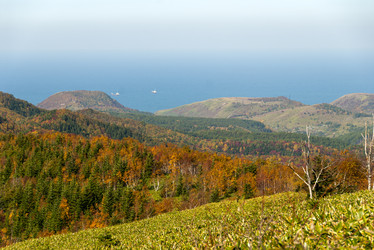 Similar image 22119984