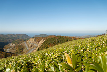 Similar image 22119985