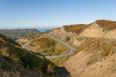 Similar image 22119986