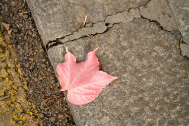 Similar image 22117877