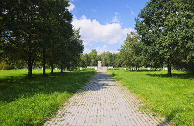 Similar image 22117880