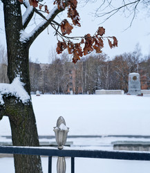 Similar image 22117881