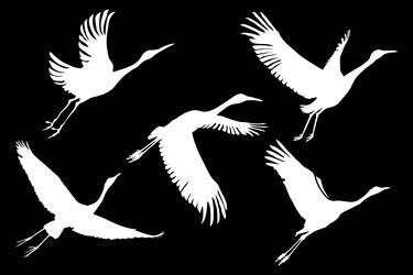 Similar image 22117893