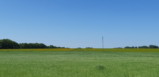 Similar image 22119631