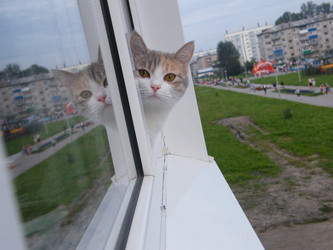 Similar image 22119635