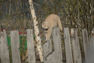 Similar image 22119638