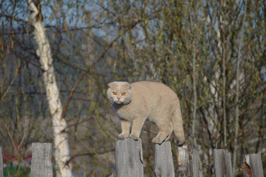 Similar image 22119640