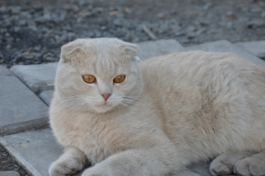 Similar image 22119642