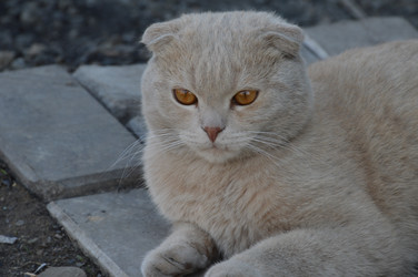 Similar image 22119643