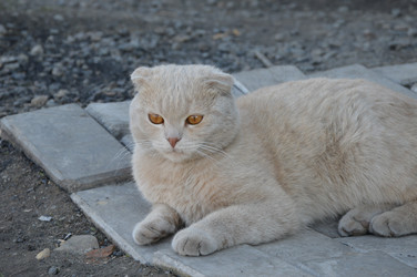 Similar image 22119644