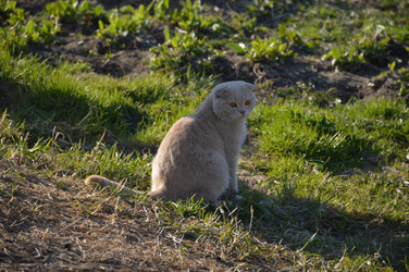 Similar image 22119645