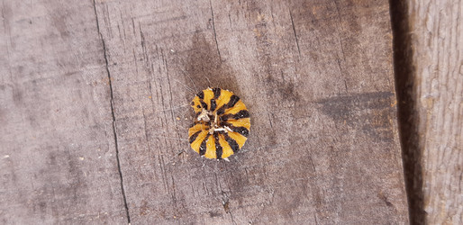 Similar image 22119648