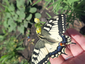 Similar image 22119649