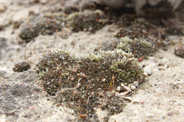 Similar image 22120251