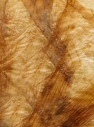 Similar image 22119469