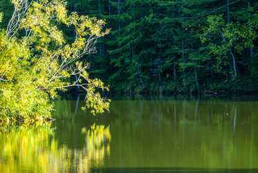 Similar image 22119994