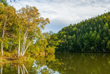 Similar image 22119995