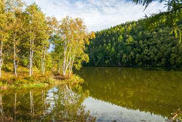 Similar image 22119996