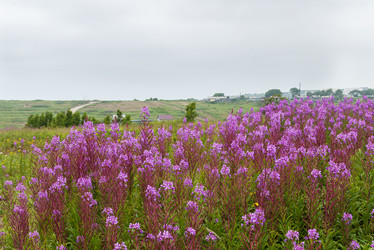 Similar image 22120004