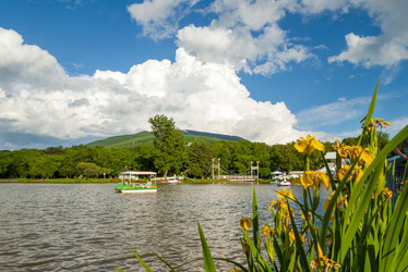 Similar image 22120259