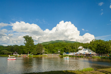 Similar image 22120262