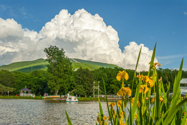 Similar image 22120263