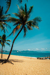 Similar image 22120269