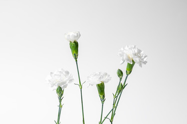 Similar image 22119529