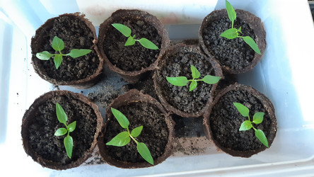 Similar image 22119662