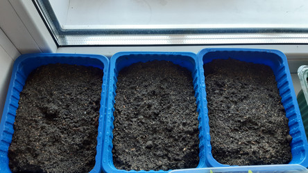 Similar image 22119663