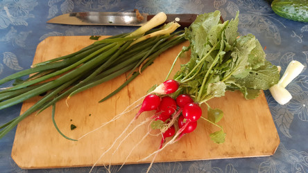 Similar image 22119664